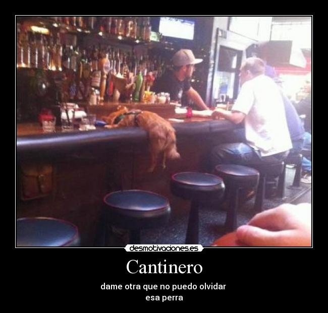 Cantinero -