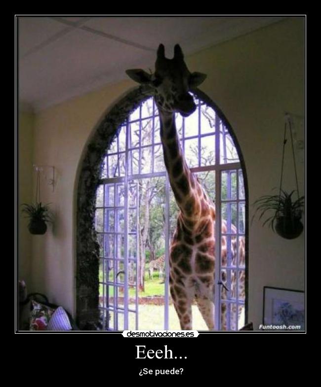 carteles have visitor desmotivaciones