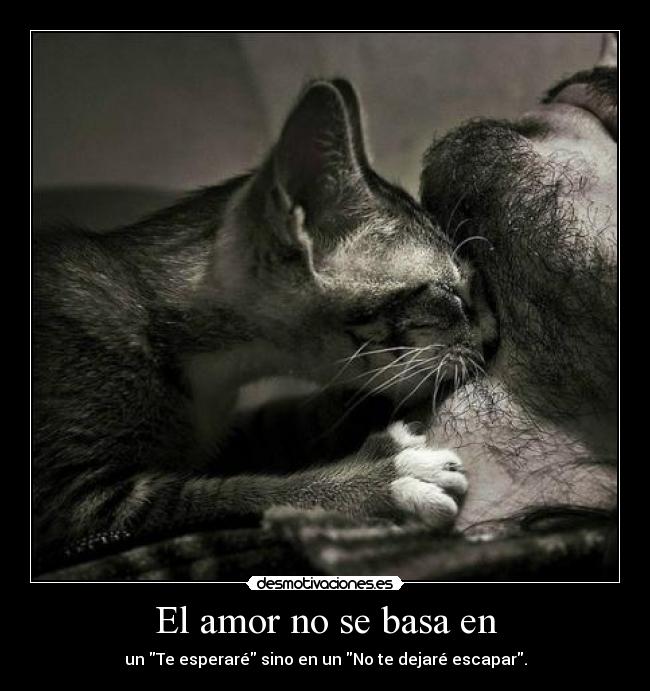 El amor no se basa en -