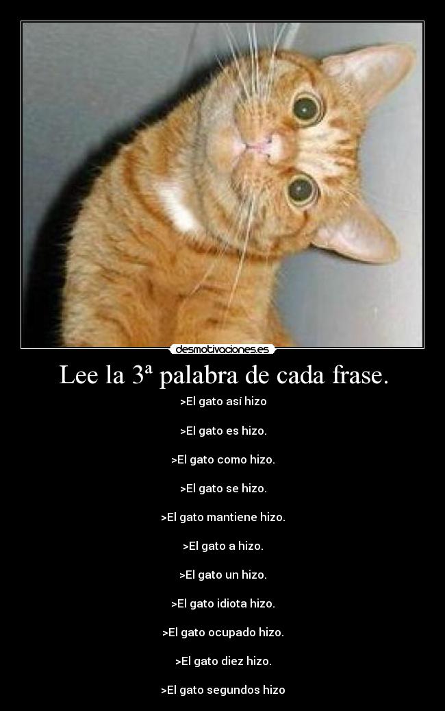 Lee la 3ª palabra de cada frase. -
