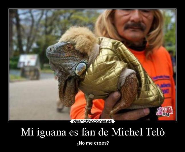 carteles pero que iguana mas bonita haahhah desmotivaciones