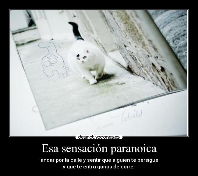 Esa sensación paranoica - andar por la calle y sentir que alguien te persigue
y que te entra ganas de correr