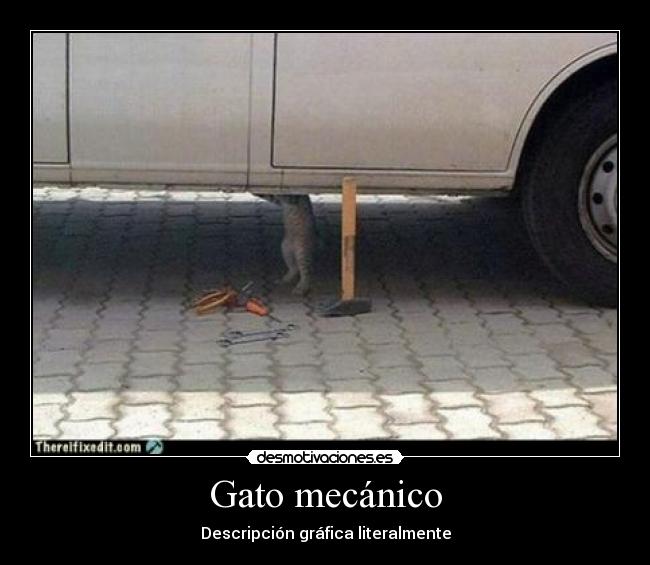 Gato mecánico - Descripción gráfica literalmente