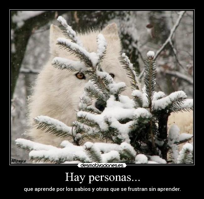 Hay personas... -