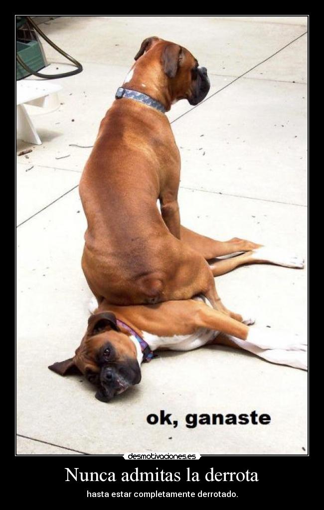 Nunca admitas la derrota - hasta estar completamente derrotado.