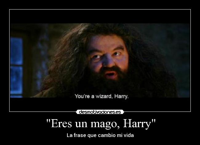 carteles harry potter desmotivaciones