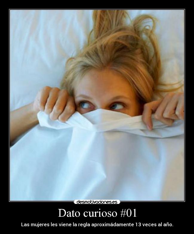 carteles regla mujeres desmotivaciones