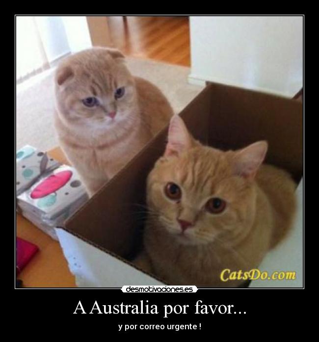 A Australia por favor... - y por correo urgente !