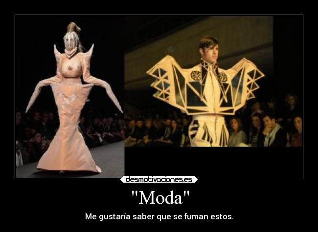 Moda - 