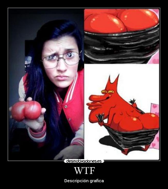 WTF - Descripción grafica