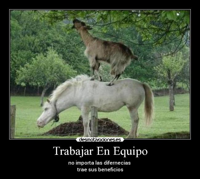 Trabajar En Equipo -