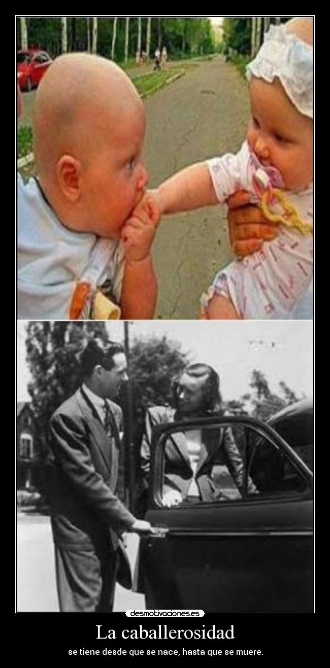 La caballerosidad - se tiene desde que se nace, hasta que se muere.