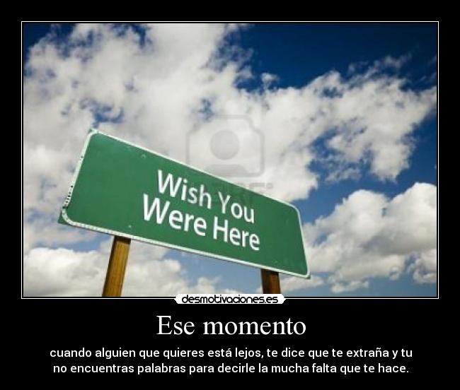 carteles miss you bitch desmotivaciones