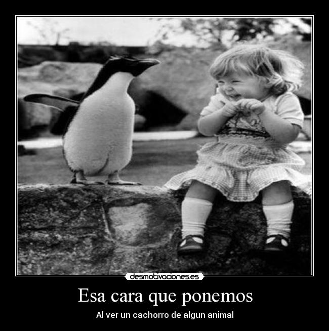 Esa cara que ponemos - Al ver un cachorro de algun animal