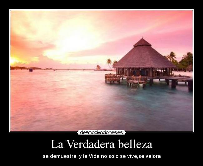 La Verdadera belleza - se demuestra y la Vida no solo se vive,se valora
