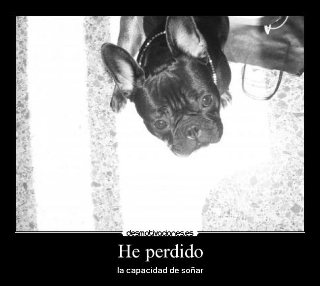 He perdido - 