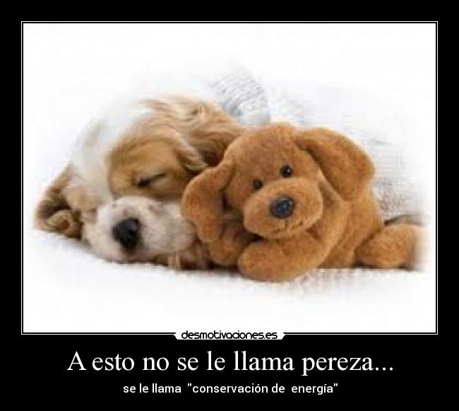 A esto no se le llama pereza... - 