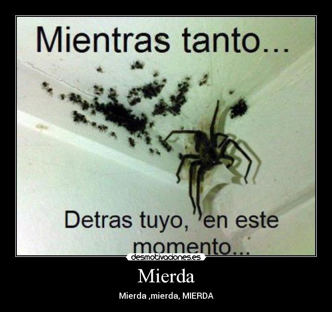 Mierda -