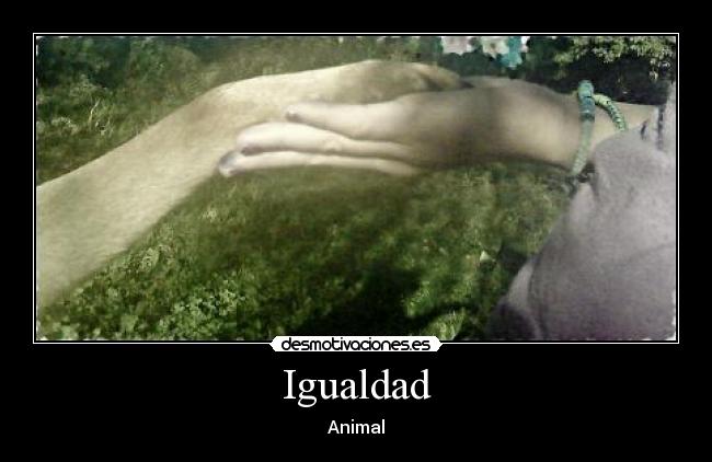 Igualdad - Animal