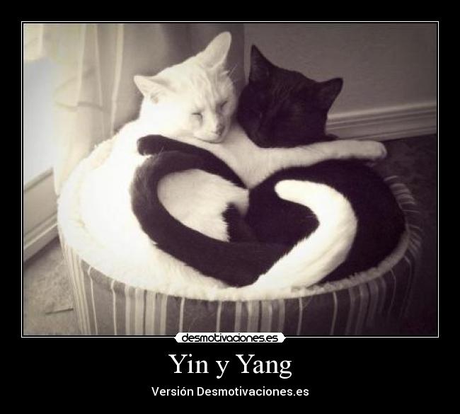 Yin y Yang -