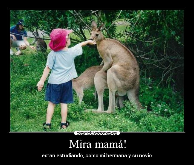 Mira mamá! - están estudiando, como mi hermana y su novio.