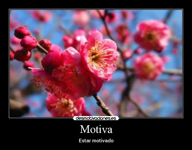 Motiva - Estar motivado