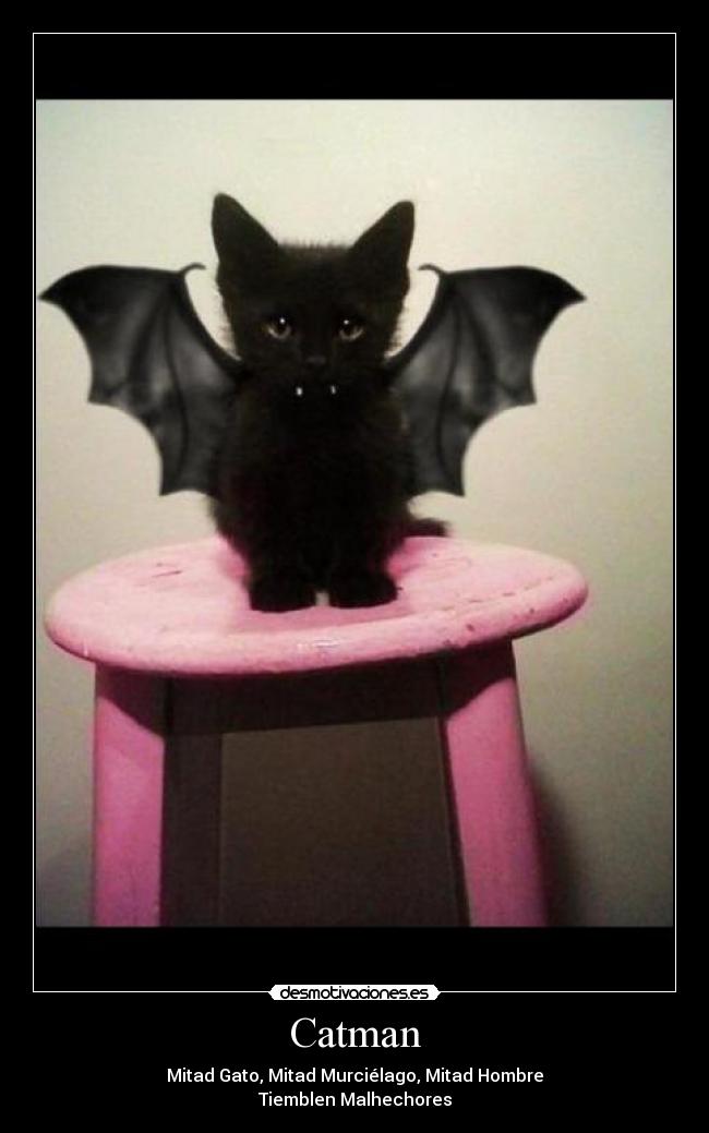 Catman - Mitad Gato, Mitad Murciélago, Mitad Hombre
Tiemblen Malhechores