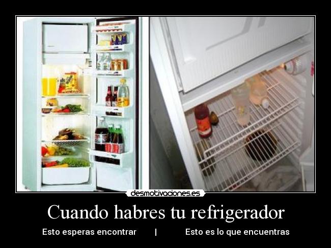Cuando habres tu refrigerador - Esto esperas encontrar | Esto es lo que encuentras