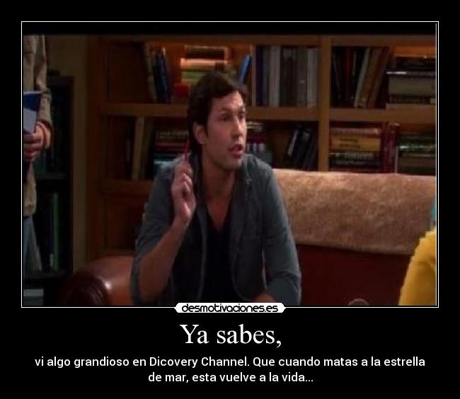 carteles zack the big bang theory thebigbangtheory sheldon mefaltaterminarelcartelesperenhastamanana desmotivaciones