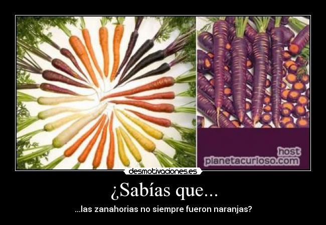 ¿Sabías que... - ...las zanahorias no siempre fueron naranjas?