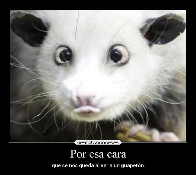 Por esa cara - que se nos queda al ver a un guapetón.