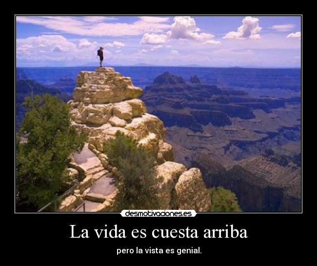 carteles vida cuesta desmotivaciones