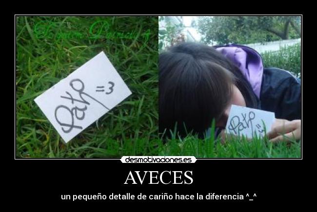 AVECES - un pequeño detalle de cariño hace la diferencia ^_^