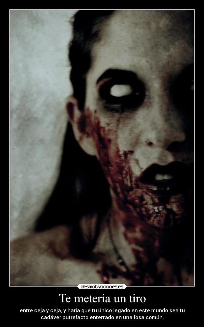 Te metería un tiro - entre ceja y ceja, y haría que tu único legado en este mundo sea tu
cadáver putrefacto enterrado en una fosa común.