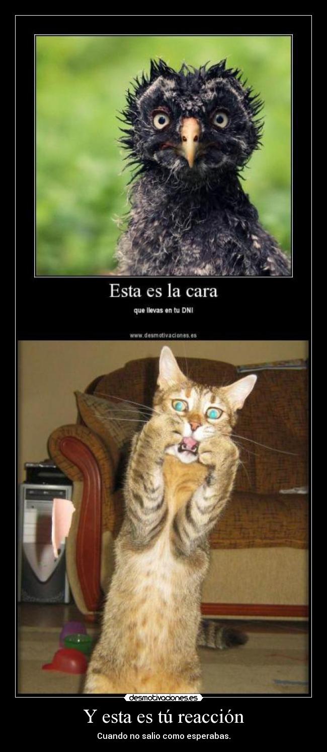 Y esta es tú reacción - Cuando no salio como esperabas.