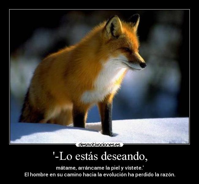 -Lo estás deseando, - mátame, arráncame la piel y vístete.
El hombre en su camino hacia la evolución ha perdido la razón.
