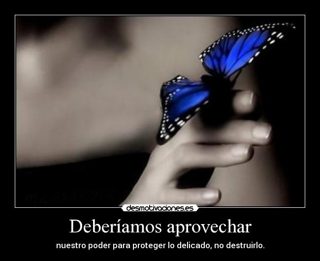 carteles somos despreciables desmotivaciones