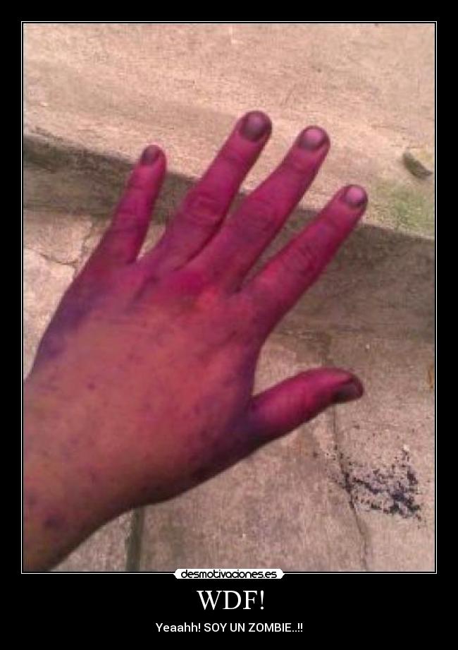WDF! - Yeaahh! SOY UN ZOMBIE..!!