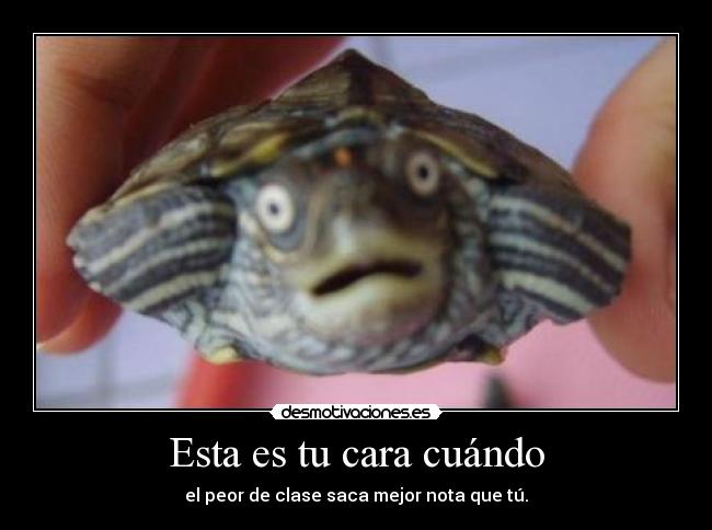 Esta es tu cara cuándo - 