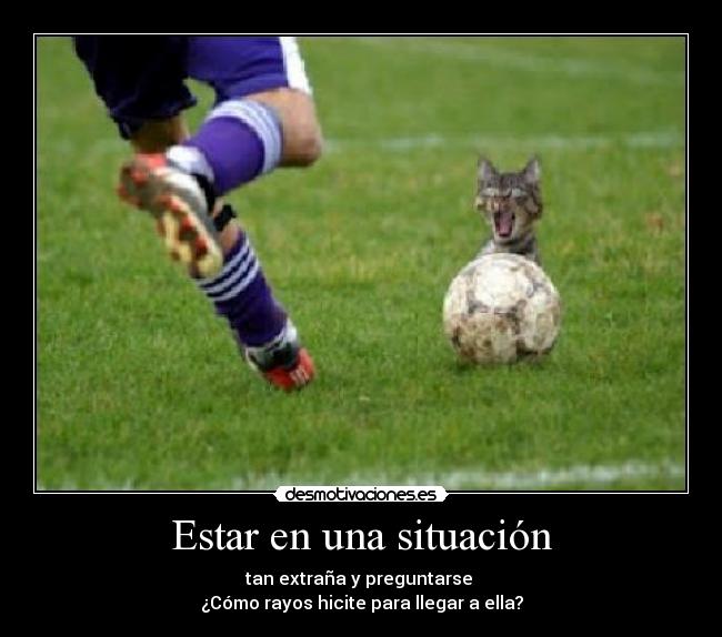 Estar en una situación - tan extraña y preguntarse
¿Cómo rayos hicite para llegar a ella?