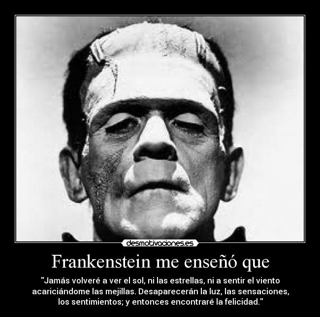 Frankenstein me enseñó que - Jamás volveré a ver el sol, ni las estrellas, ni a sentir el viento
acariciándome las mejillas. Desaparecerán la luz, las sensaciones,
los sentimientos; y entonces encontraré la felicidad.