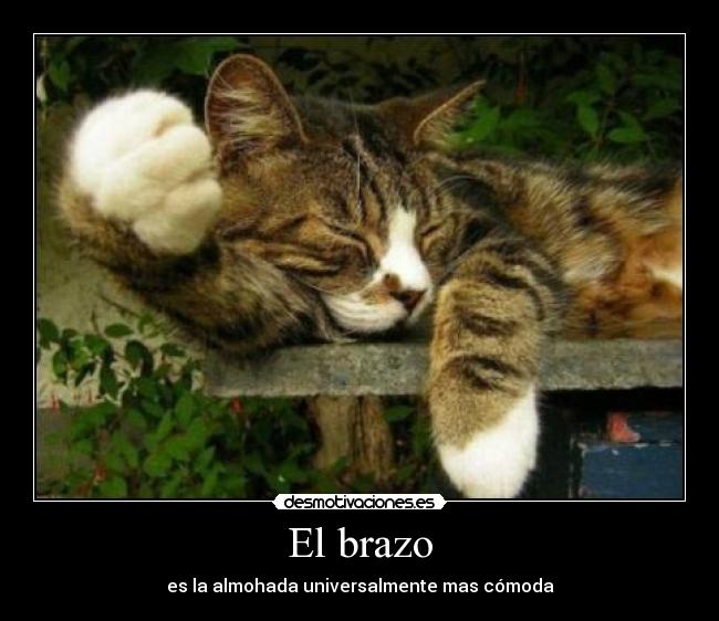 carteles universal desmotivaciones