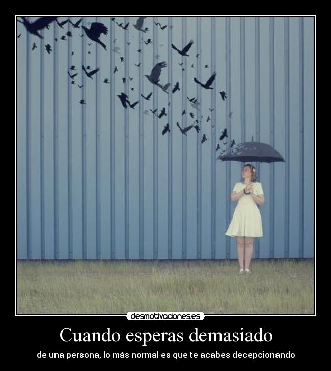 Cuando esperas demasiado - de una persona, lo más normal es que te acabes decepcionando