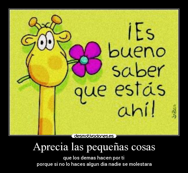 Aprecia las pequeñas cosas - 