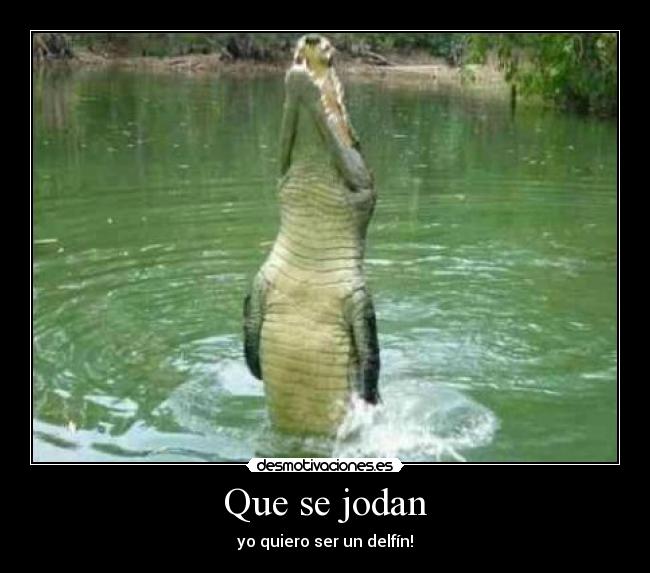 Que se jodan - yo quiero ser un delfín!