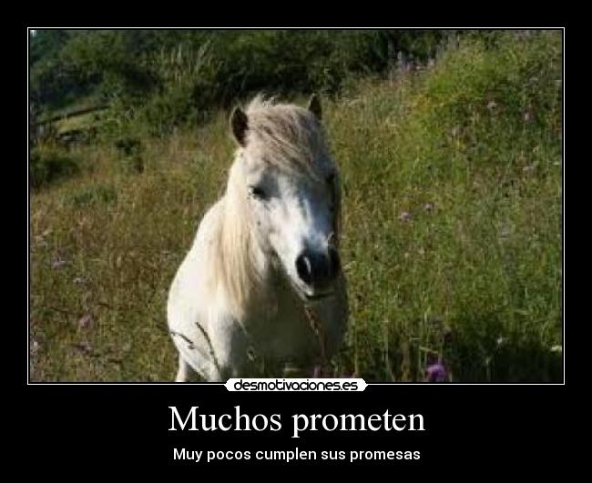 Muchos prometen - 