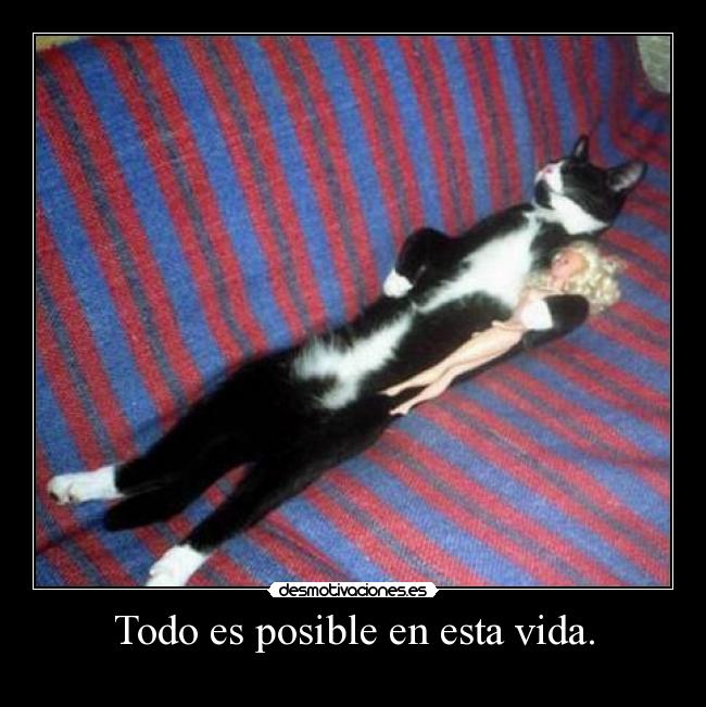 Todo es posible en esta vida. -