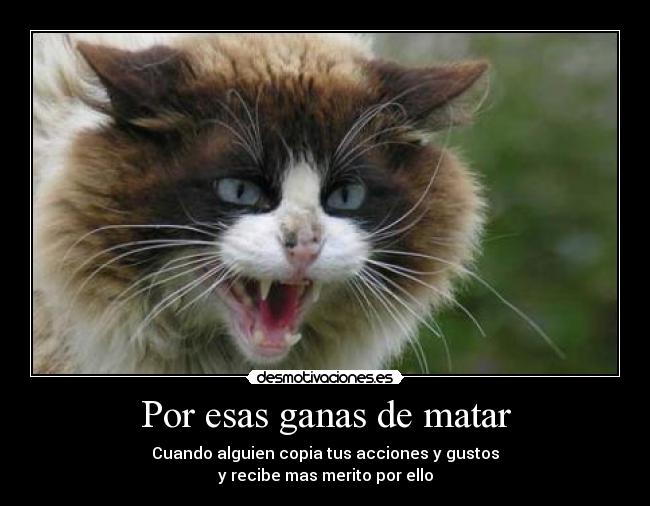Por esas ganas de matar - Cuando alguien copia tus acciones y gustos
y recibe mas merito por ello