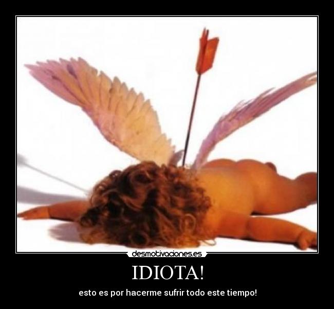 IDIOTA! - esto es por hacerme sufrir todo este tiempo!