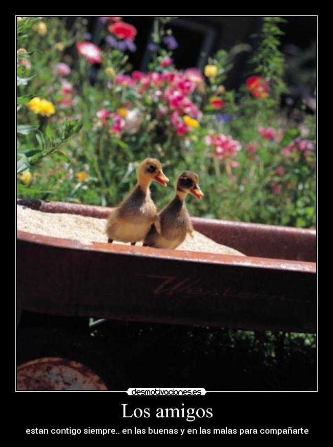 Los amigos - estan contigo siempre.. en las buenas y en las malas para compañarte